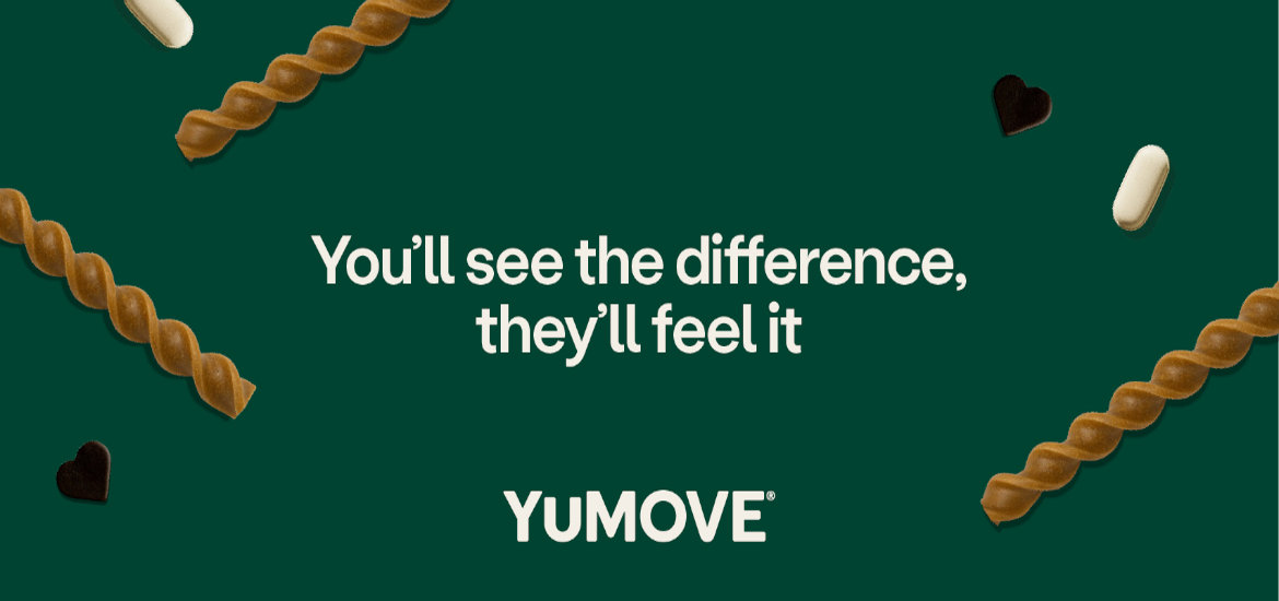 YuMOVE